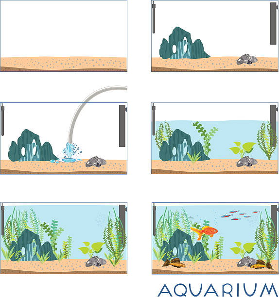 Stages of creating an aquarium